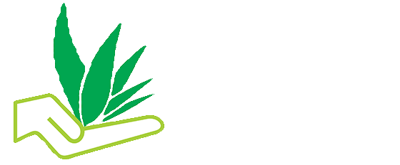 زندگی به سبک آلوئه ورا