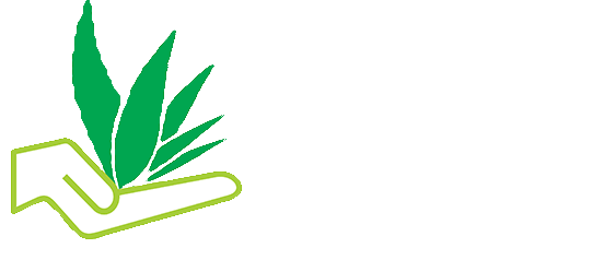 زندگی به سبک آلوئه ورا